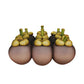 Fresh Mangosteen